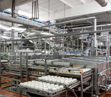 Food and Beverages Industry